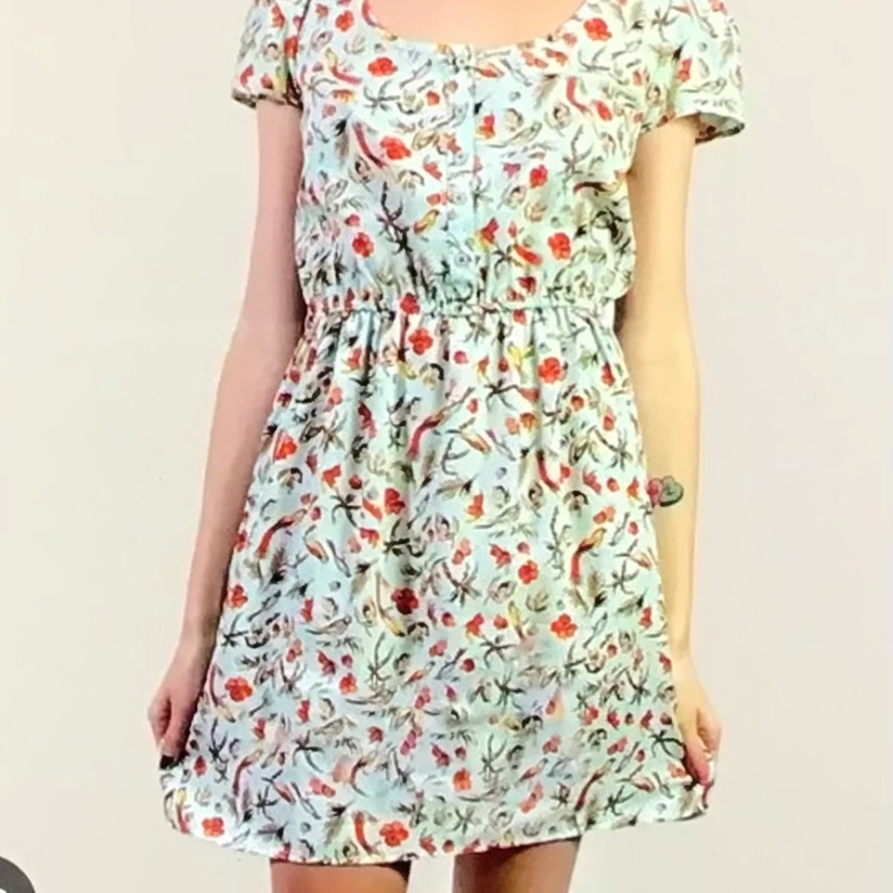 Xhilaration Bird Print Dress size M